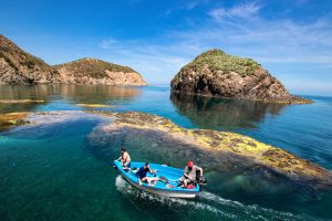 Traversées Algérie – Espagne en juillet